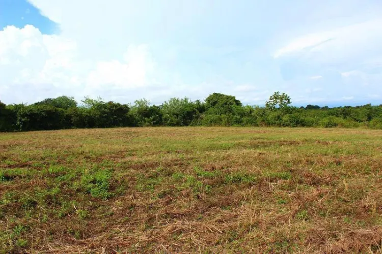 Terreno en venta - Río Hato - Condomini Bienes Raíces